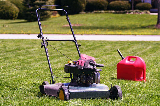istock Front Yard Lawn Mower, Gardening Gloves and Gasoline Can Container 681913838