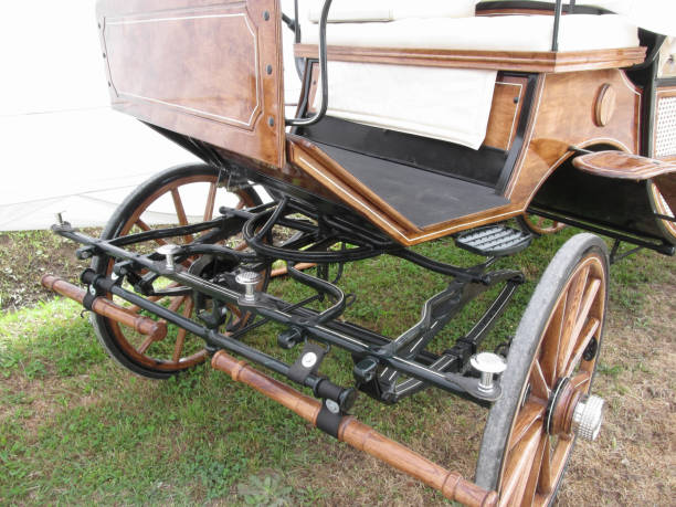 istock Front view of old-fashioned horse carriage on green grass 681915024