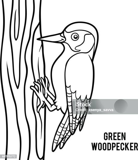 Coloring Book Green Woodpecker Stock Illustration - Download Image Now - Bird, Coloring Book Page - Illlustration Technique, Woodpecker