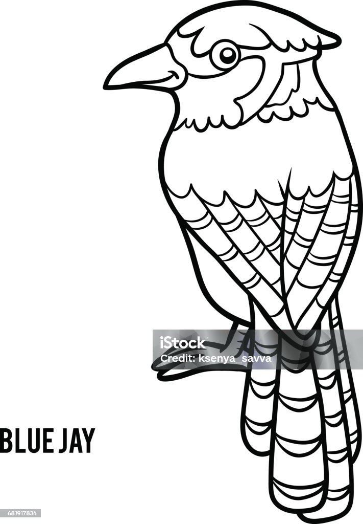 outline blue jay black and white