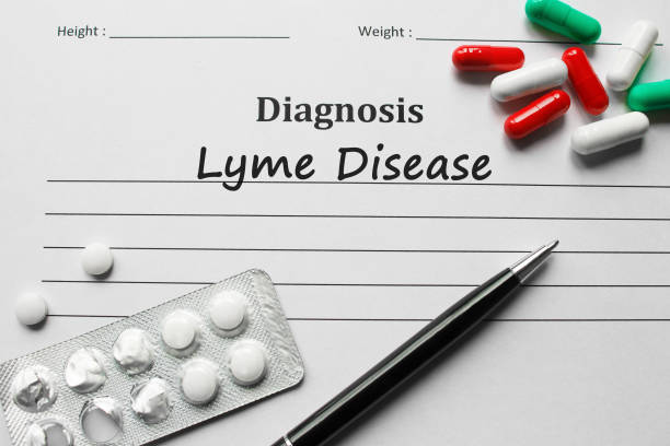 lyme desease on the diagnosis list, medical concept - lyme disease imagens e fotografias de stock