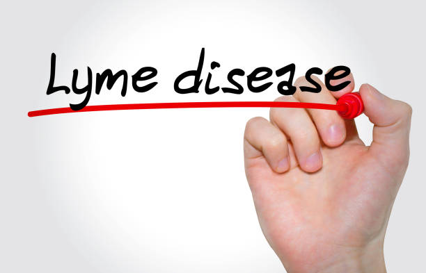 istock Hand writing inscription Lyme disease with marker, concept 681920890