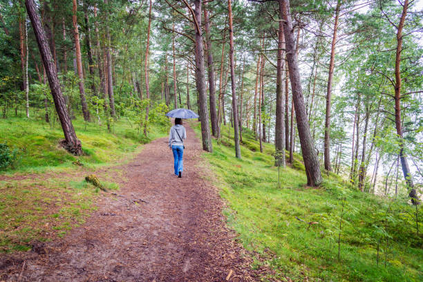 istock woman with an umbrella walking in a pine forest 681928424