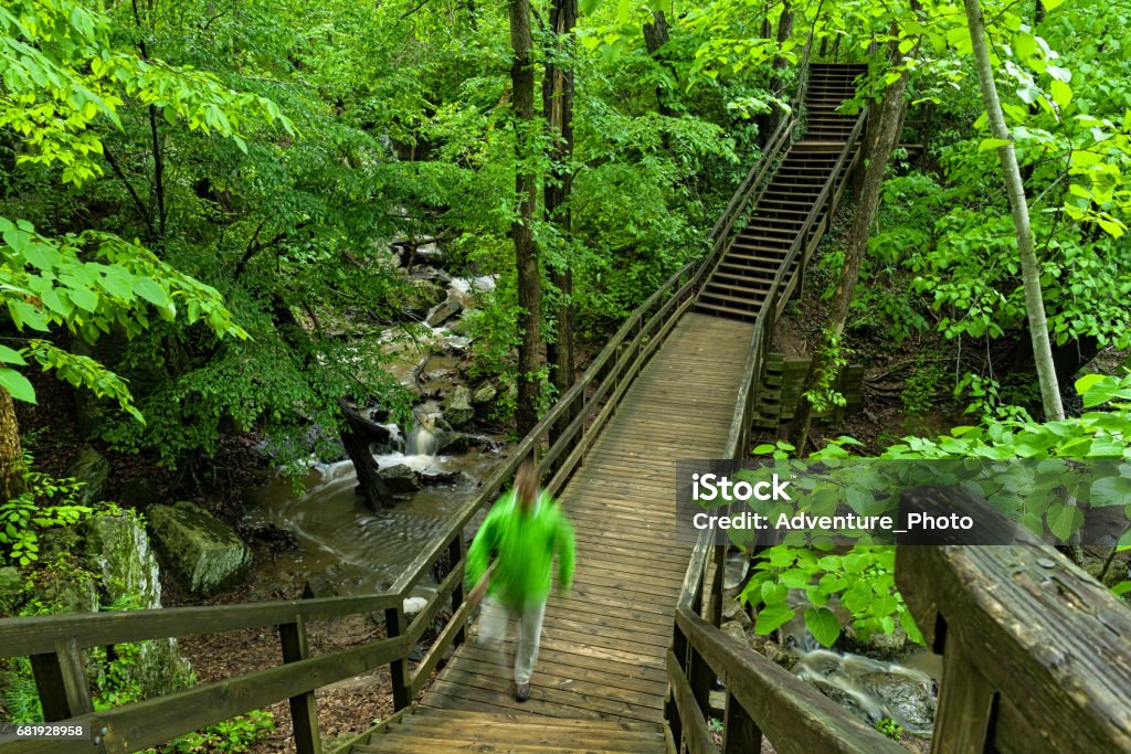 Hiking Over Creek on Bridge in Great Falls Virginia Hiking Over Creek on Bridge in Great Falls Virginia - Scenic nature area with lots of green lush hiking trails. McLean-Great Falls, Virginia USA. Adult Stock Photo