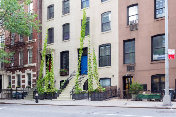 istock street in Brooklyn, New York 681929110