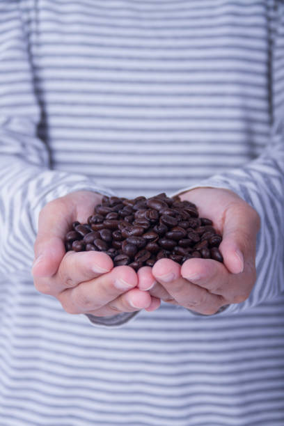 istock Coffee beans in female hands 681933638