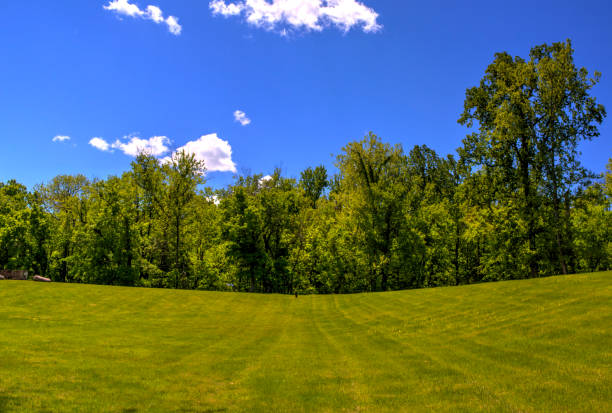 istock Spring time in the country 681947134