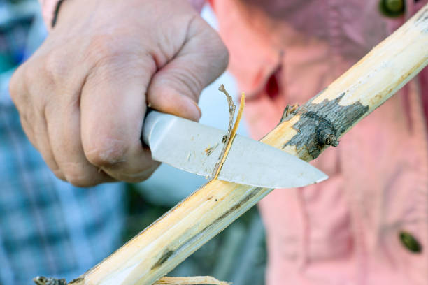 istock Man with knife cut a wooden stick 681947526