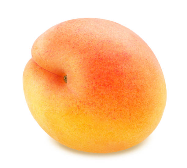 Ripe orange apricot isolated