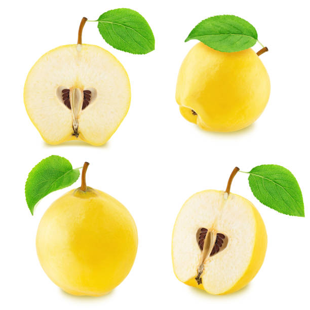 istock Set of different quinces isolated 681952418