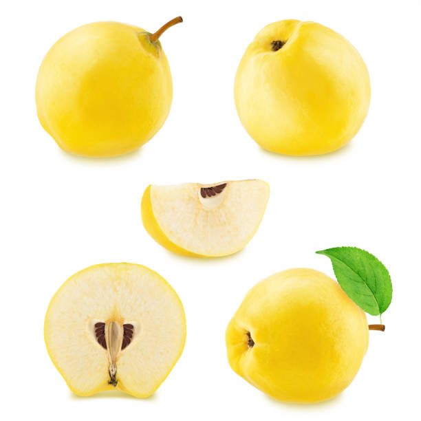 istock Set of different quinces isolated 681952466