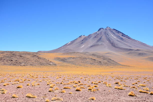 istock Landscape and nature at Atacama desert in Chile 681955348