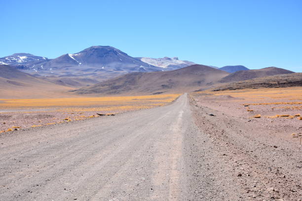 istock Landscape and nature at Atacama desert in Chile 681955362