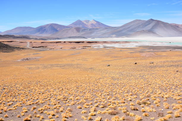 istock Landscape and nature at Atacama desert in Chile 681955384