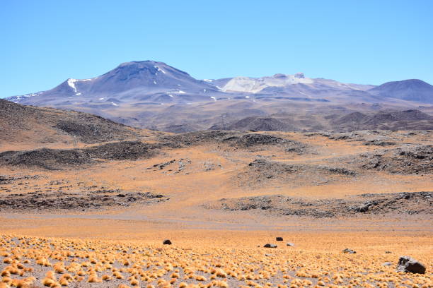istock Landscape and nature at Atacama desert in Chile 681955390