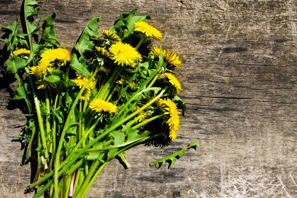 istock Yellow dandelion flowers on rustic wooden background. Top view 681958602