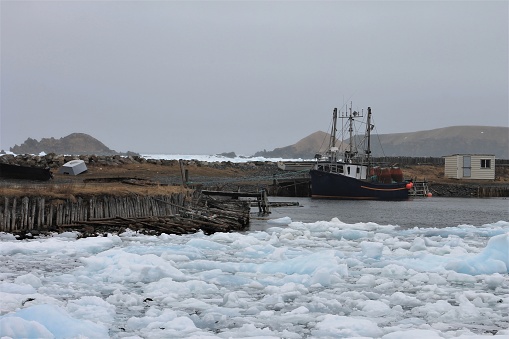 Pack Ice in Ferryland, Newfoundland and Labrador, Canada, April 22, 2017. Boat in open water in small inlet away from pack ice. Two piers and a small shed are also visible.