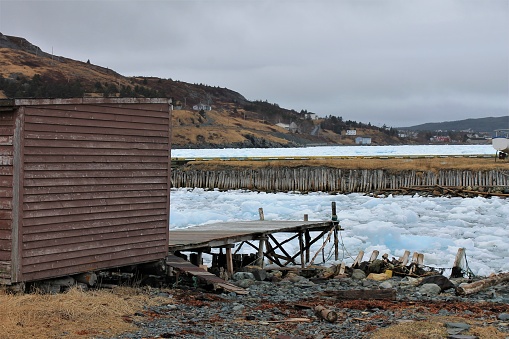 Pack Ice in Ferryland, Newfoundland and Labrador, Canada, April 22, 2017. Fishing shed and pier in the foreground looking out toward the ice in the bay and the town of Ferryland in the background.