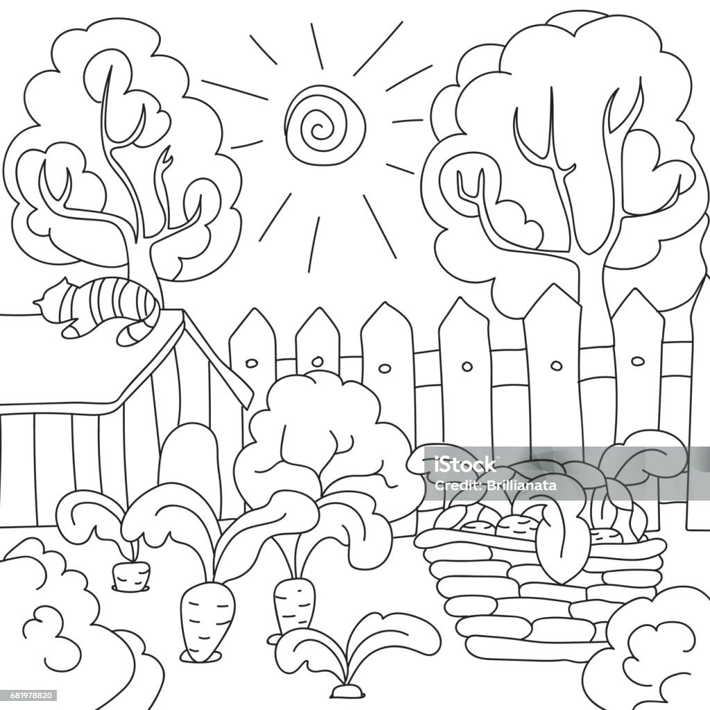 vector coloring book carrots in the garden Coloring pages for children, vector coloring book carrots in the garden Coloring Book Page - Illlustration Technique stock vector