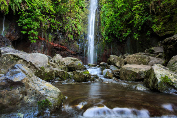 Levada from 25 sources stock photo