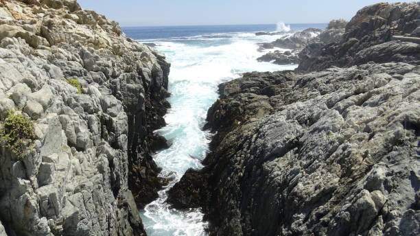 istock Landscape of rocky beach in Chile 681996702