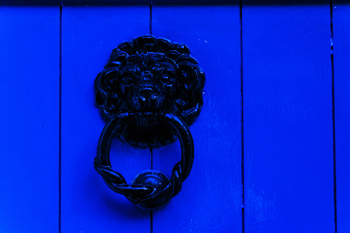 Door with brass knocker in the shape of a lion's head, beautiful entrance to the house, lion decor