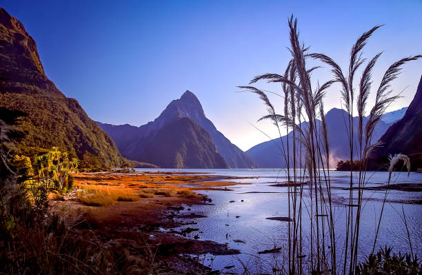 istock Milford Sound at dawn 682012654