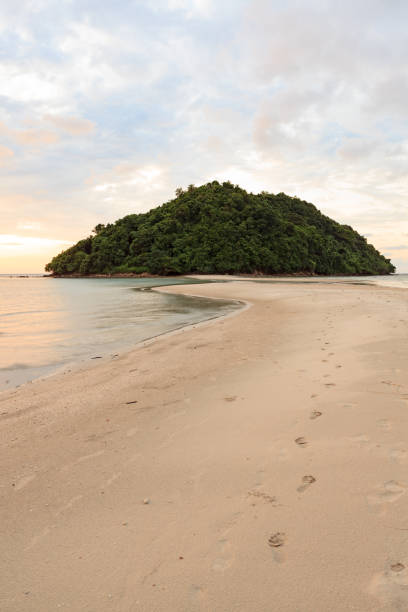 istock Tropical forest at the end of paradise sand beach 682015164