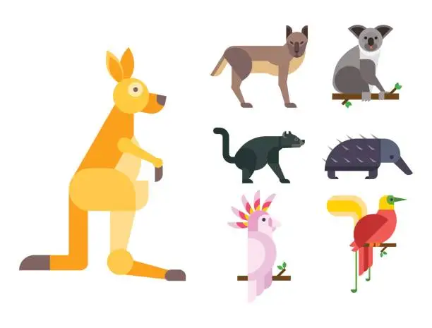 Vector illustration of Australia wild animals cartoon popular nature characters flat style and australian mammal aussie native forest collection vector illustration