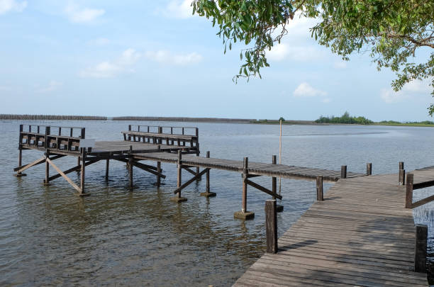 istock ,Wooden bridge at the Mangrove Field 682025434