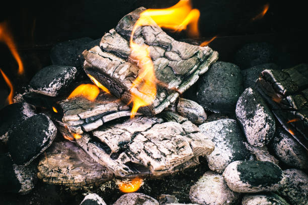 istock Fire burning wood and coal in the fireplace 682028290