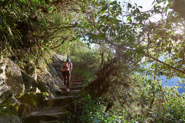 istock Hiking woman in forest 682040216