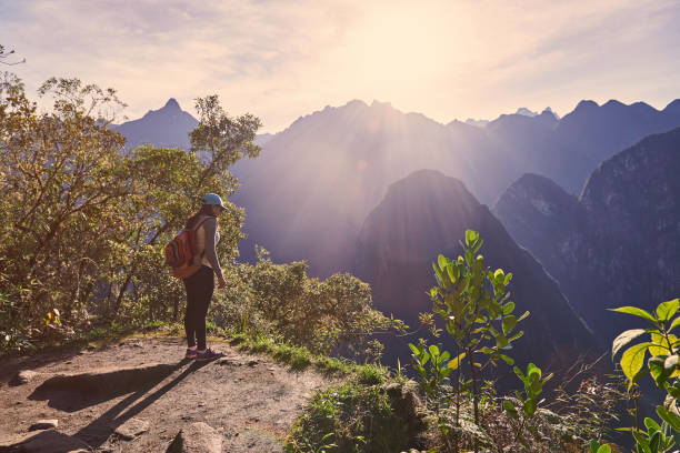 istock Traveller woman stand on mountain cliff 682040230