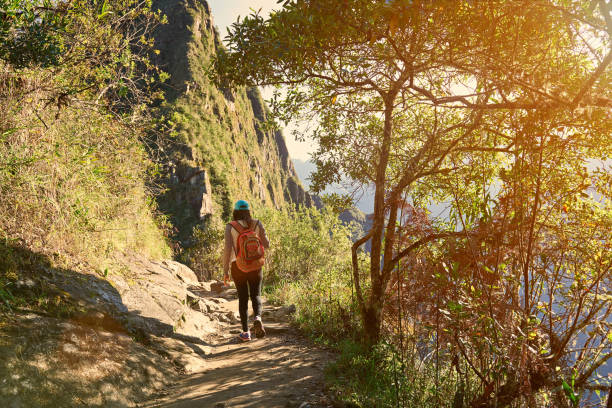 istock Hiking in mounatin landscape 682040254