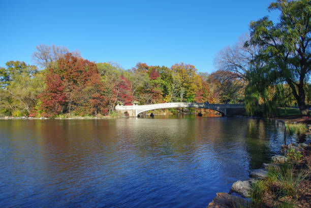 istock Central Park in New York 682042978