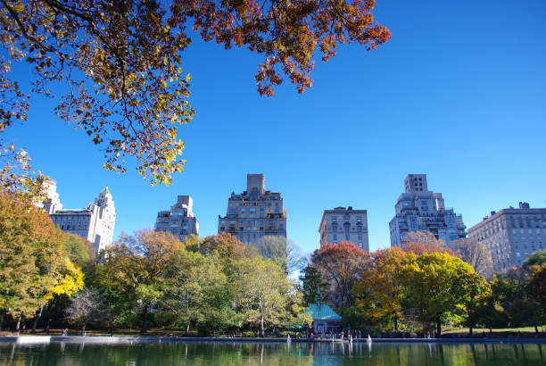 istock Central Park in New York 682043028
