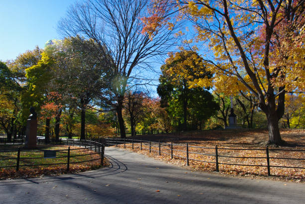 istock Central Park in New York 682043118