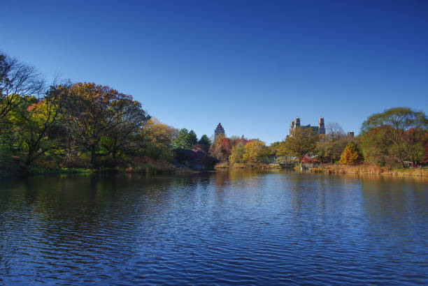 istock Central Park in New York 682043164