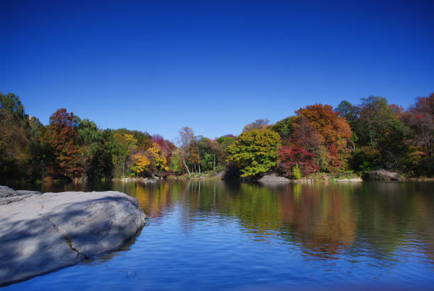 istock Central Park in New York 682043224