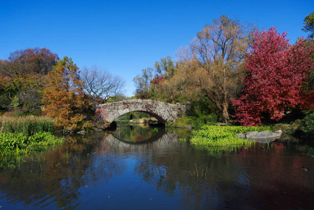 istock Central Park in New York 682043248