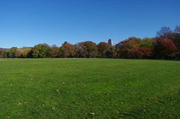 istock Central Park in New York 682043278