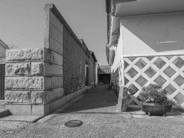 istock Japanese old town alley - Black and White 682043660
