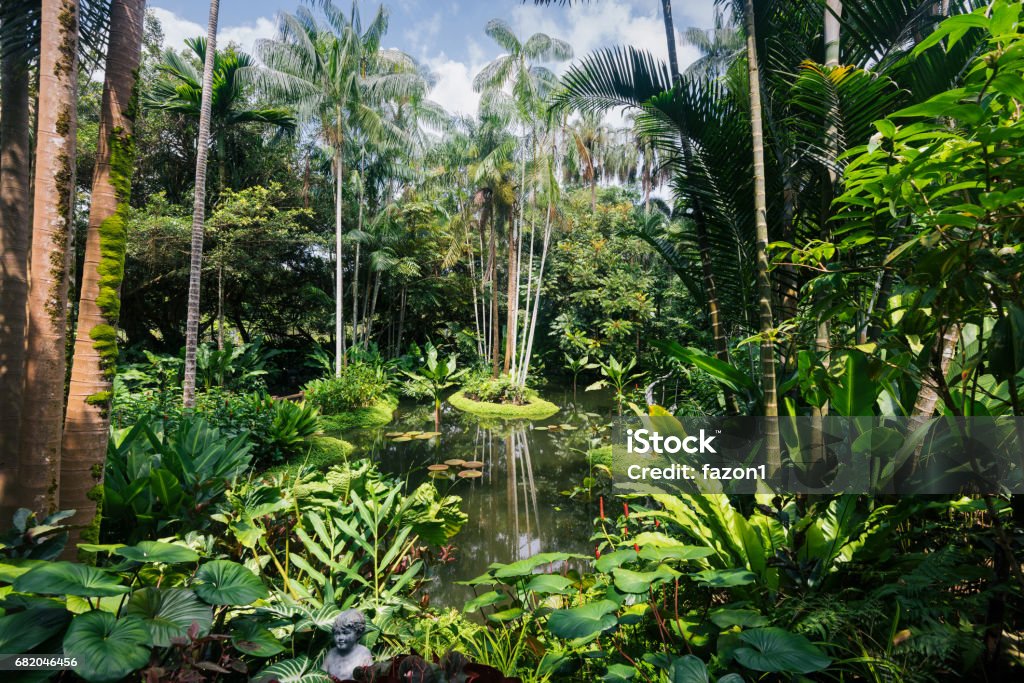 Jardín Botánico de Singapur - Foto de stock de Jardín Botánico de Singapur libre de derechos