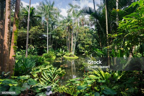 Jardín Botánico De Singapur Foto de stock y más banco de imágenes de Jardín Botánico de Singapur - Jardín Botánico de Singapur, República de Singapur, Jardín Botánico