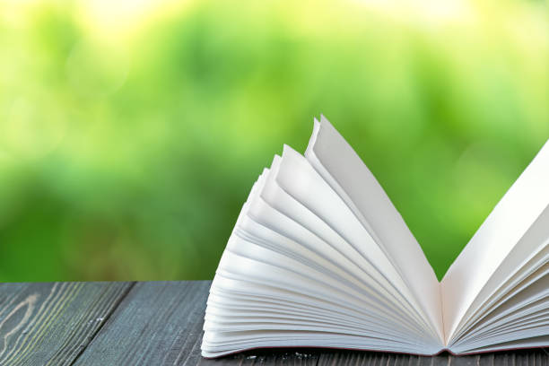 istock Open book on wood planks over abstract light background 682046780