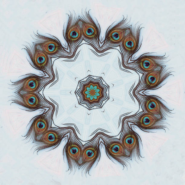 istock A Peacock feather on a wooden blue background with copy space 682071430