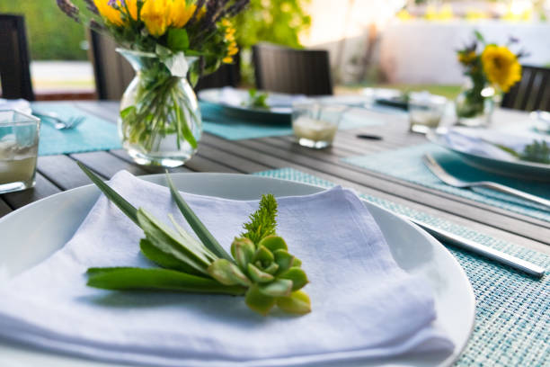 Occasions - Place Setting for Backyard Dinner Party One full place setting includes seafood green place mat, white plate, fork and knife, white napkin and succulent beautiful table setting stock pictures, royalty-free photos & images