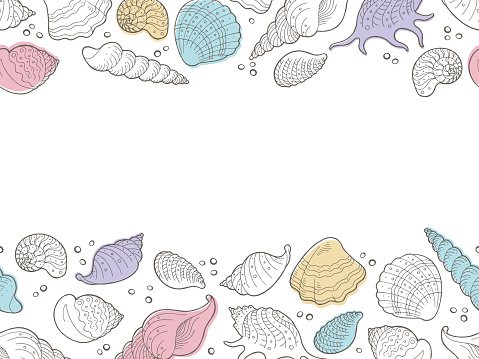 Shell Backround Draw Shell Graphic Color Seamless Background Sketch Illustration Vector ...