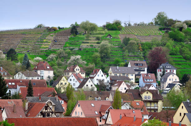 istock Panoramic view of Besigheim, Baden-Wurttemberg, Germany. 682081708