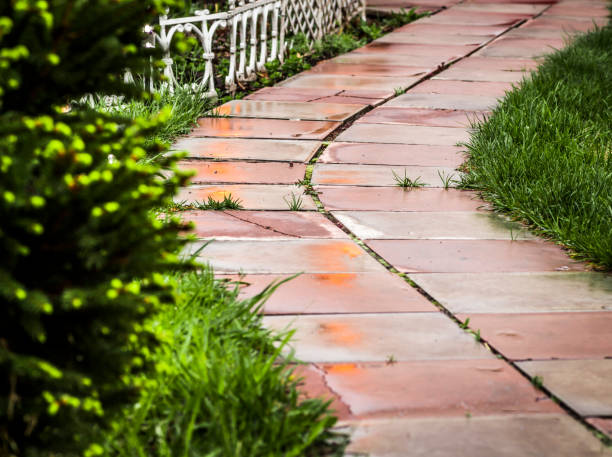 istock Part of the garden path 682082068